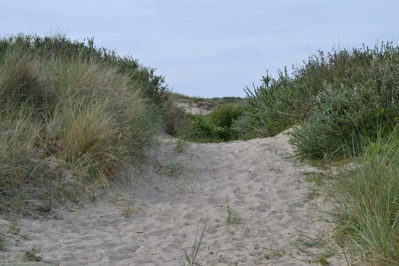 Sommerhaus Glucklich Am Meer 2 Mit Wellnesszugang Egmond aan Zee Eksteriør billede